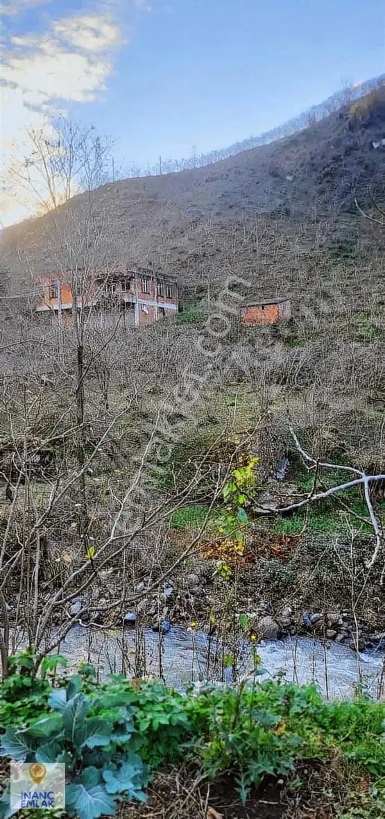 İnanç Emlaktan Giresun Sayca Köyünde Satılık 3,7 Dönüm Bahçe - Görsel 3