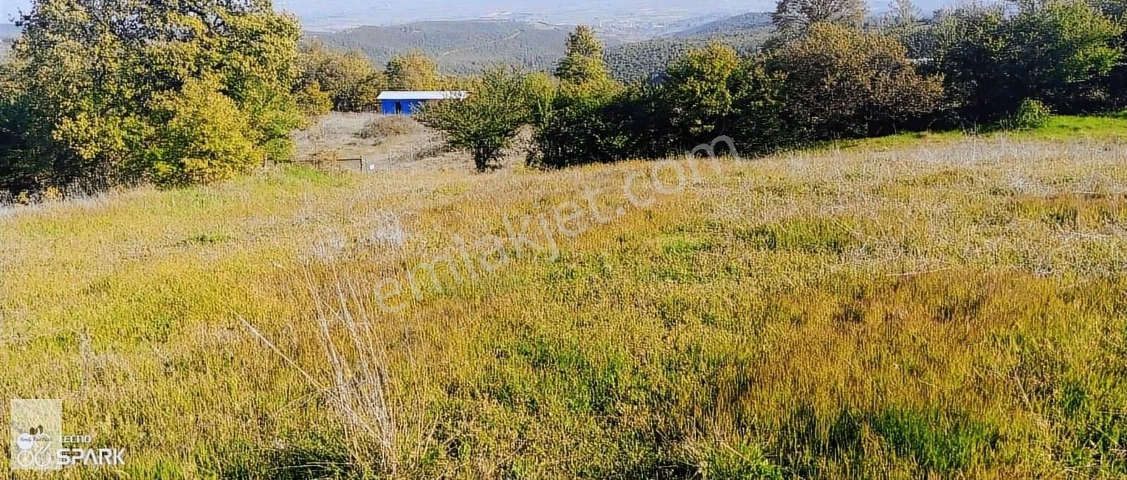 Bursa Yenişehir Yıldırım Mah Satılık Konumu Güzel Bi Arazi