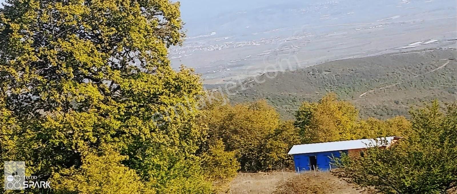 Bursa Yenişehir Yıldırım Mah Satılık Konumu Güzel Bi Arazi - Görsel 2