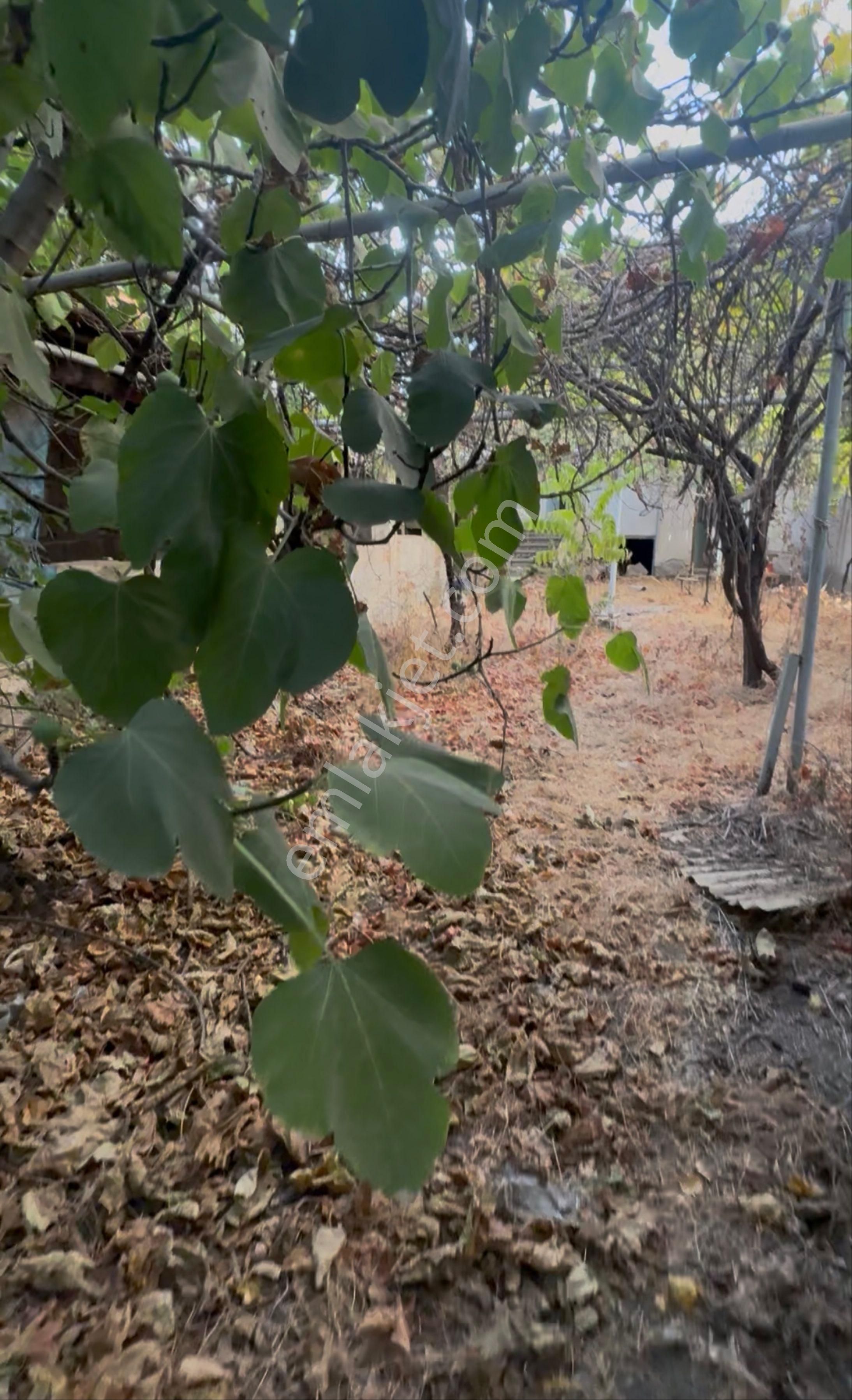 Aydın Nazilli Yıldıztepe Mahallesi'nde 340m2 Arsa İçinde Müstakil Ev - Görsel 5