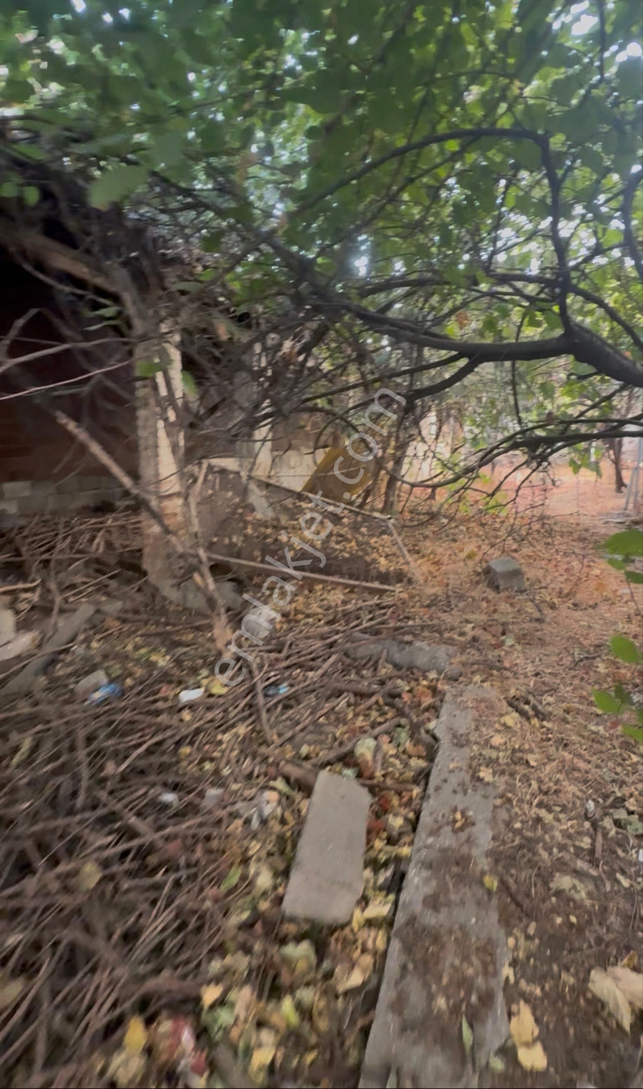 Aydın Nazilli Yıldıztepe Mahallesi'nde 340m2 Arsa İçinde Müstakil Ev - Görsel 3