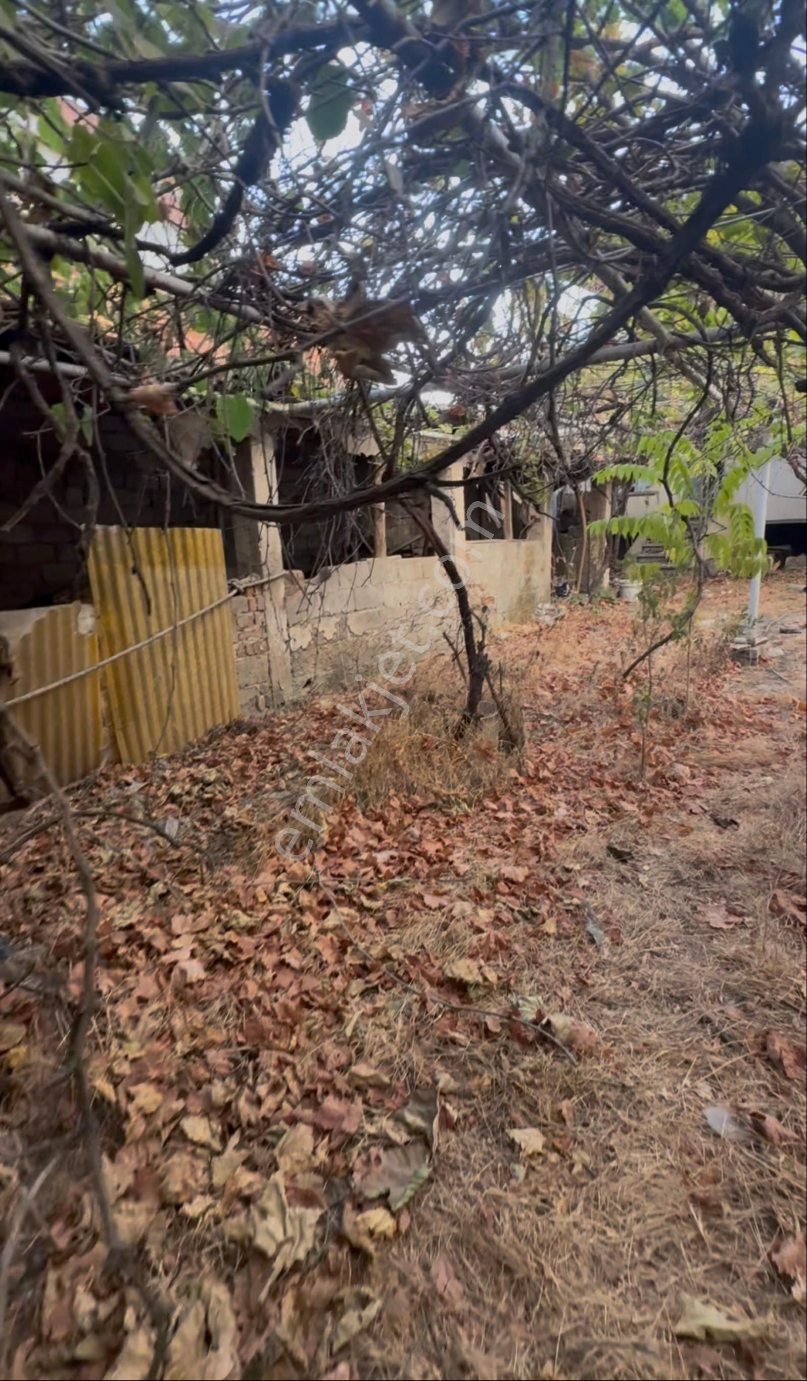 Aydın Nazilli Yıldıztepe Mahallesi'nde 340m2 Arsa İçinde Müstakil Ev - Görsel 6