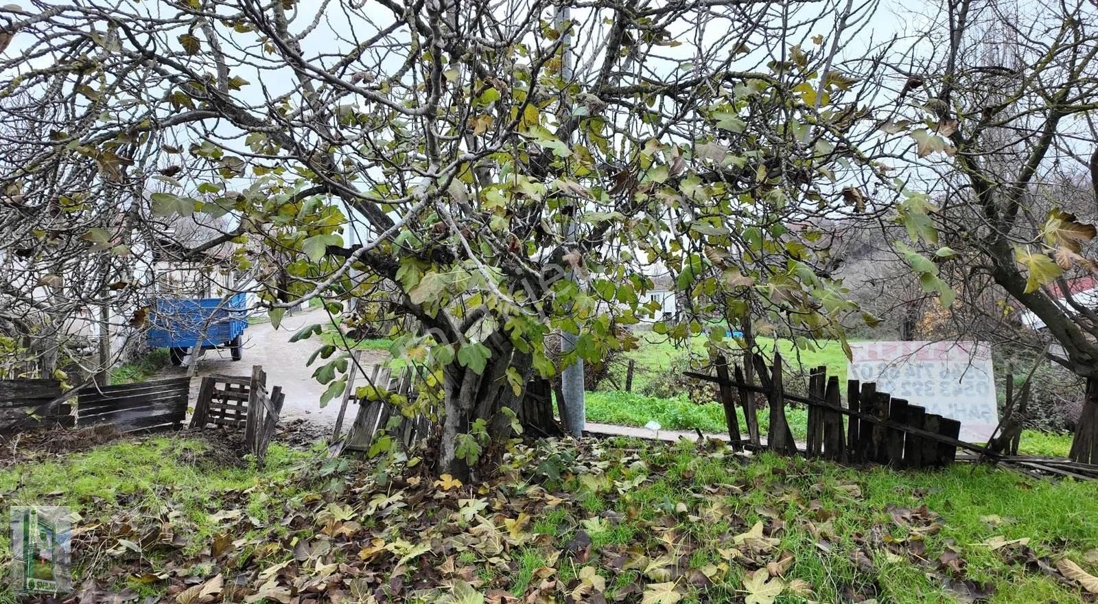 Şahlan Emlaktan Dağılıcası Ekşidere De Müstakil Köyevi Arsası - Görsel 7