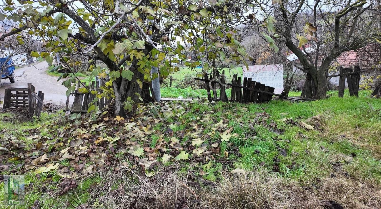 Şahlan Emlaktan Dağılıcası Ekşidere De Müstakil Köyevi Arsası - Görsel 32