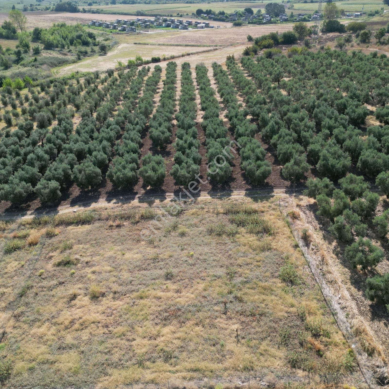 Nilüfer Çatalağıl'da Göl Manzaralı Hisseli 1100m²arazi [6] - Görsel 16