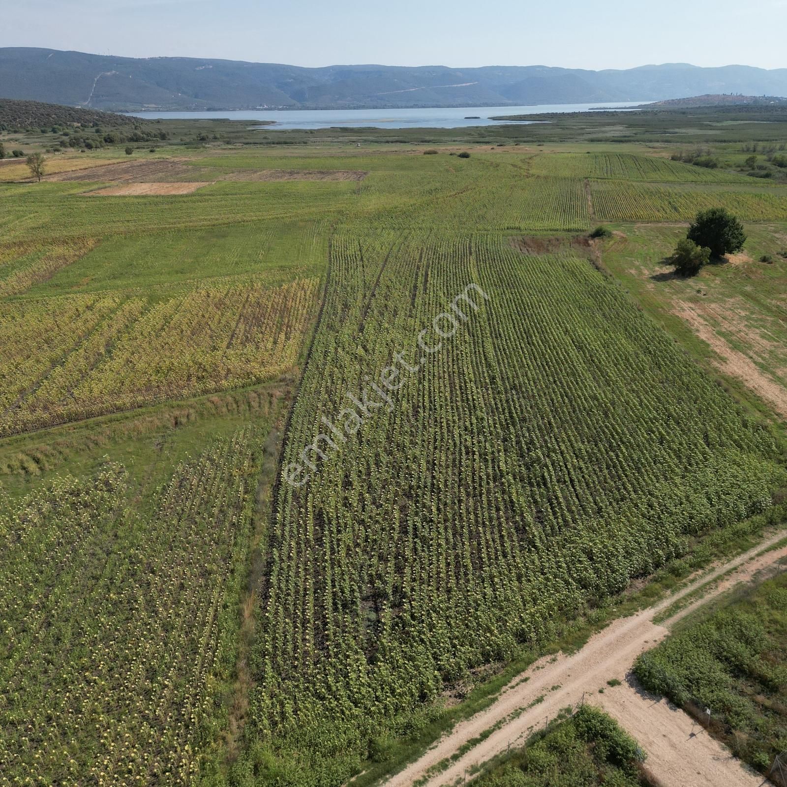 Nilüfer Çatalağıl'da Göl Manzaralı Hisseli 1100m²arazi [6] - Görsel 15