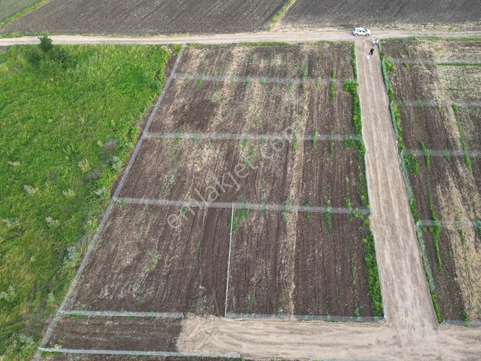 Civanoğlundan Nilüfer Çatalağılda Göl Manzaralı Araziler[2] - Görsel 10