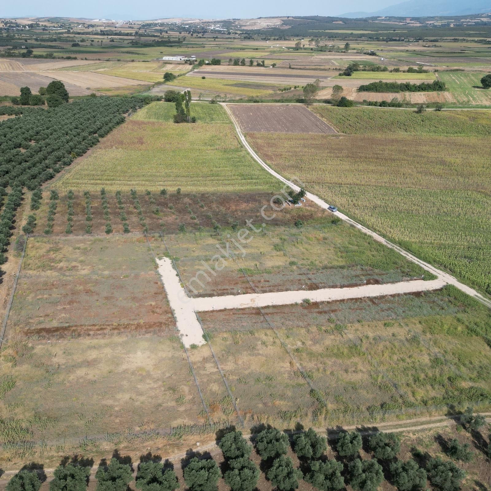 Civanoğlundan Nilüfer Çatalağılda Göl Manzaralı Araziler[2] - Görsel 14