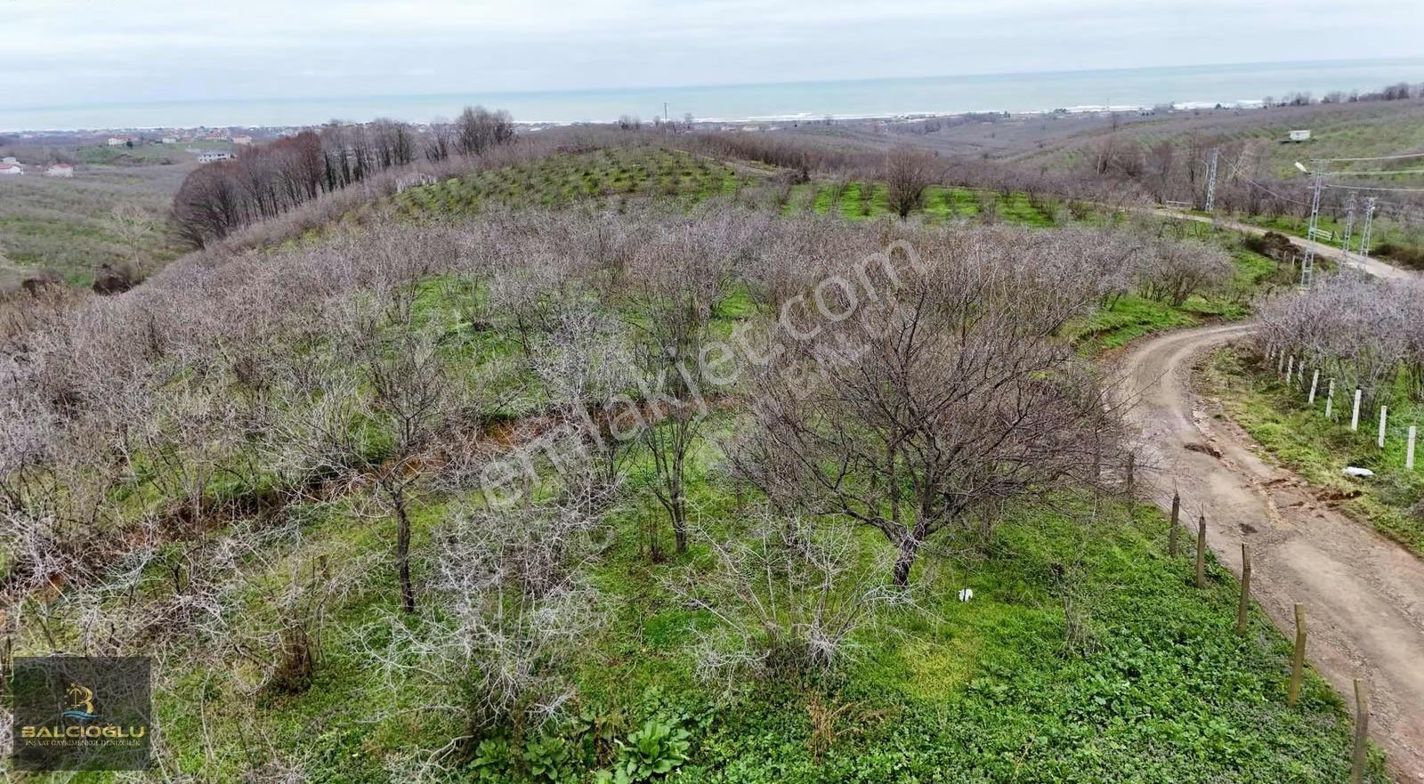 Balcıoğlundan Komple Deniz Manzaralı Yol Kenrı 2200m2 İmrlı Arsa - Görsel 27