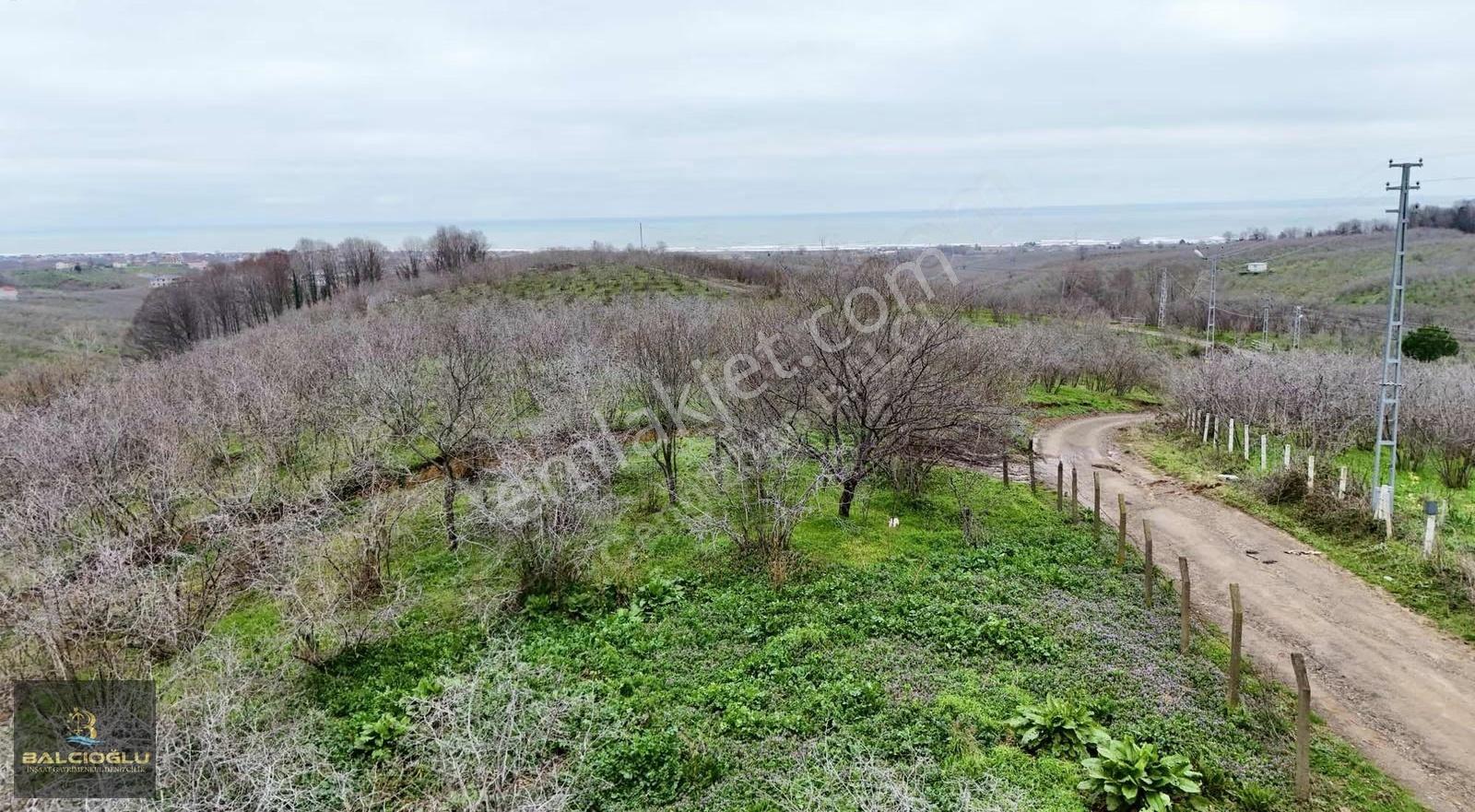 Balcıoğlundan Komple Deniz Manzaralı Yol Kenrı 2200m2 İmrlı Arsa - Görsel 18