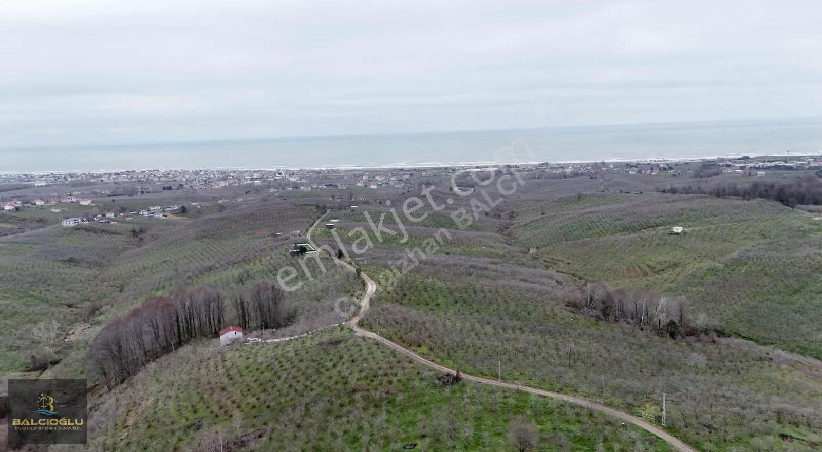Balcıoğlundan Komple Deniz Manzaralı Yol Kenrı 2200m2 İmrlı Arsa - Görsel 10