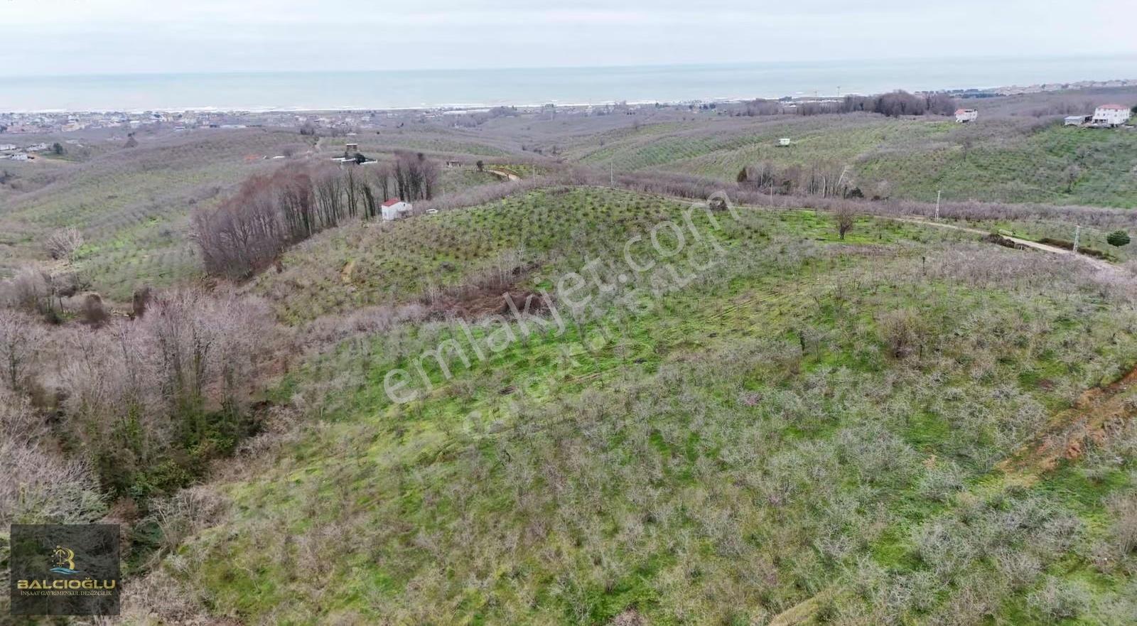 Balcıoğlundan Komple Deniz Manzaralı Yol Kenrı 2200m2 İmrlı Arsa - Görsel 12