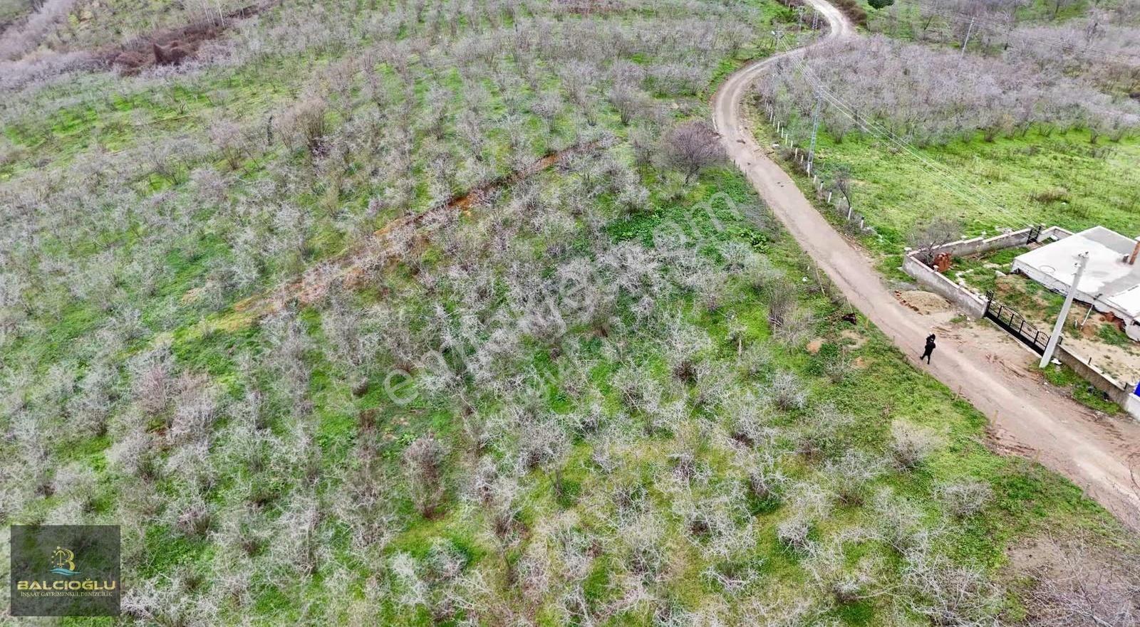 Balcıoğlundan Komple Deniz Manzaralı Yol Kenrı 2200m2 İmrlı Arsa - Görsel 16