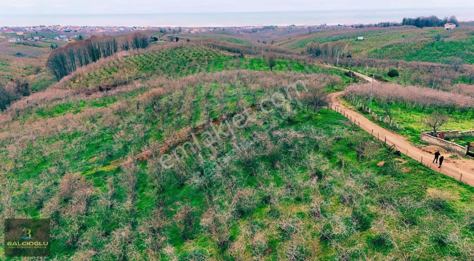 Balcıoğlundan Komple Deniz Manzaralı Yol Kenrı 2200m2 İmrlı Arsa