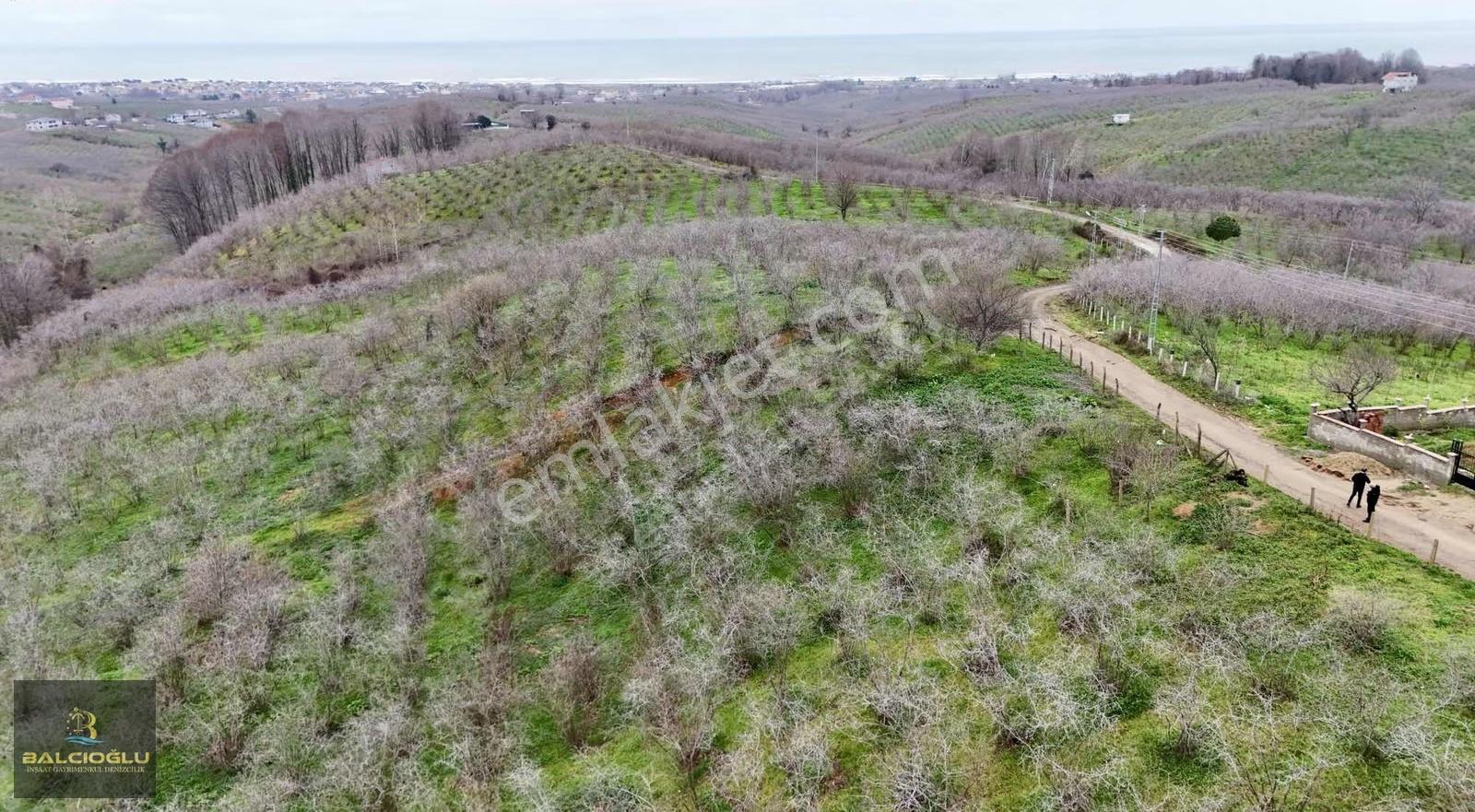 Balcıoğlundan Komple Deniz Manzaralı Yol Kenrı 2200m2 İmrlı Arsa - Görsel 14