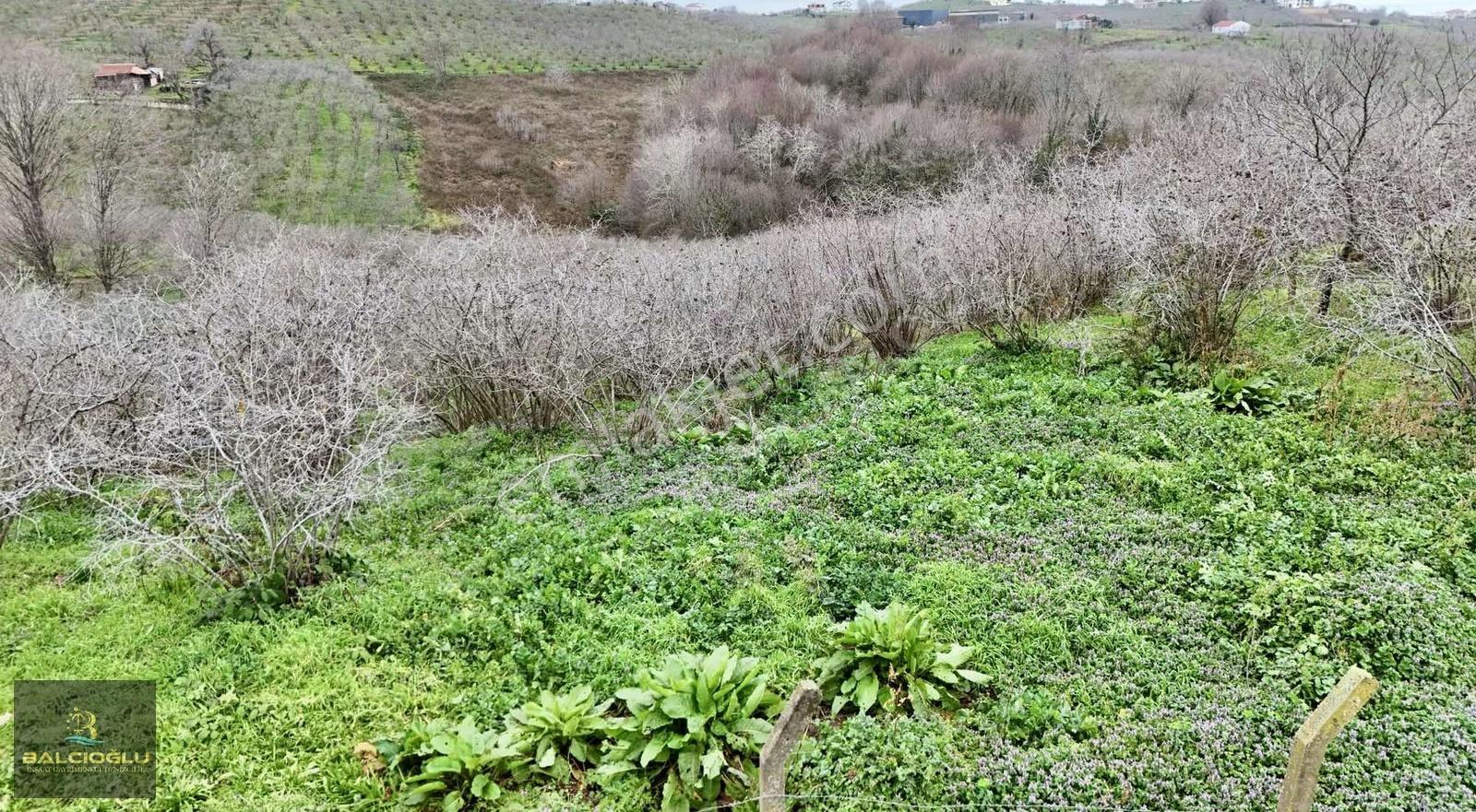 Balcıoğlundan Komple Deniz Manzaralı Yol Kenrı 2200m2 İmrlı Arsa - Görsel 5