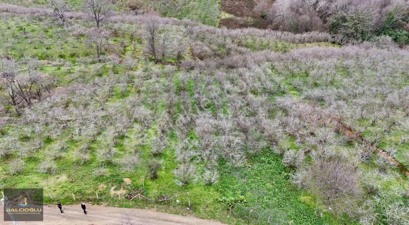 Balcıoğlundan Komple Deniz Manzaralı Yol Kenrı 2200m2 İmrlı Arsa - Görsel 25