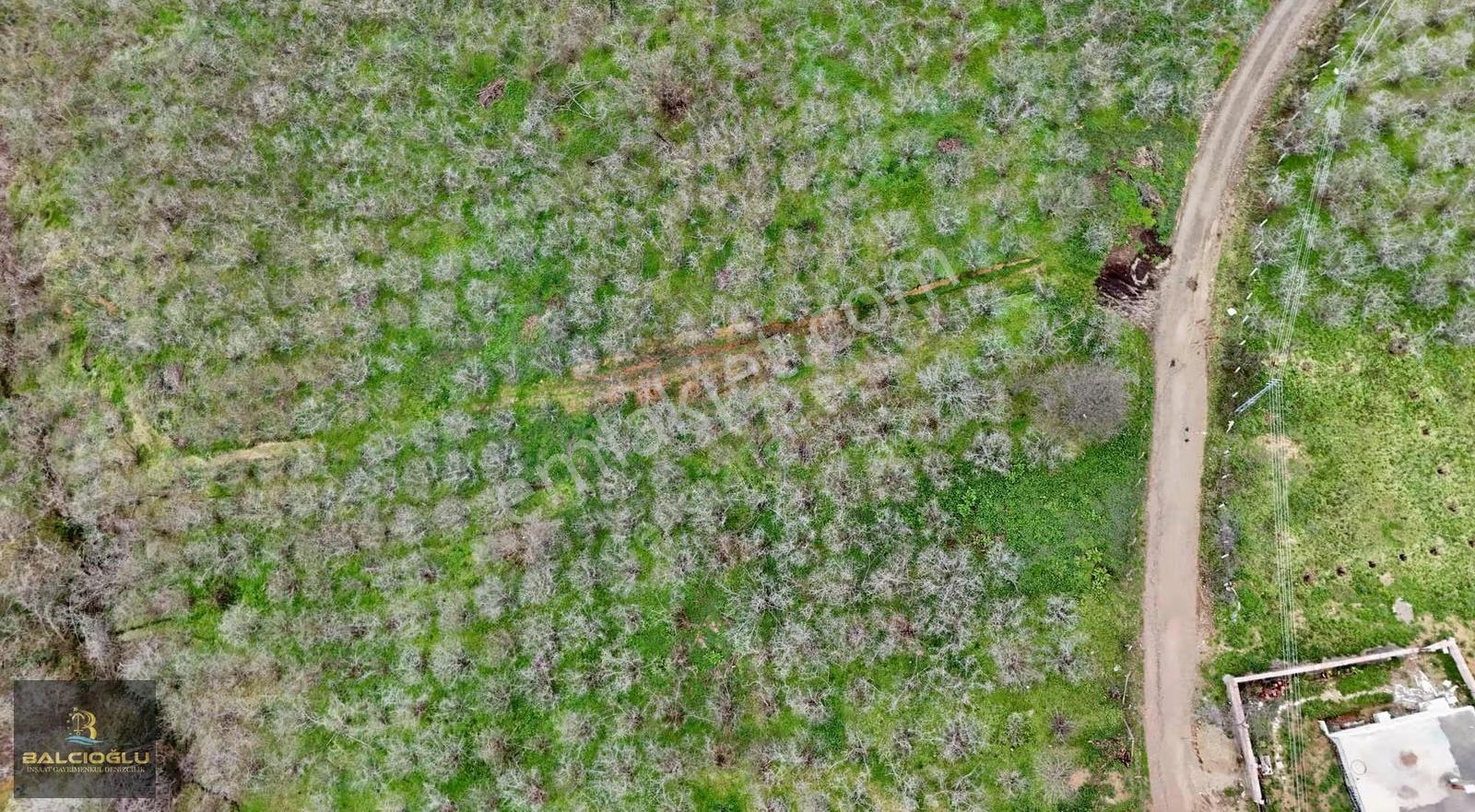 Balcıoğlundan Komple Deniz Manzaralı Yol Kenrı 2200m2 İmrlı Arsa - Görsel 11