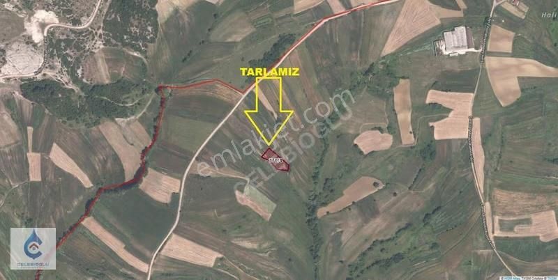 Kocaeli Derince Çavuşlu Mahallesi Satılık 1692 M² Tarla - Görsel 2