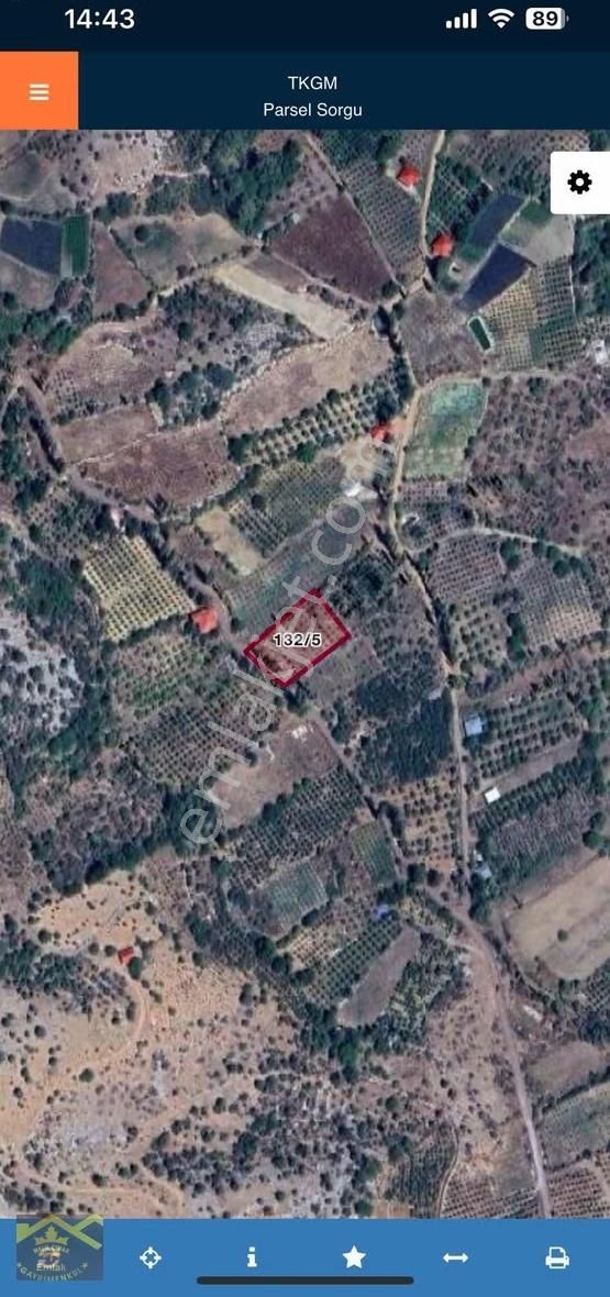 Büyük Sorgunda 1755 M2 Satılık Tarla - Görsel 2
