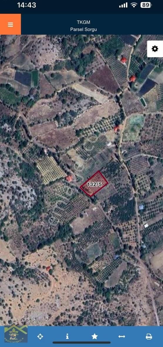 Büyük Sorgunda 1755 M2 Satılık Tarla