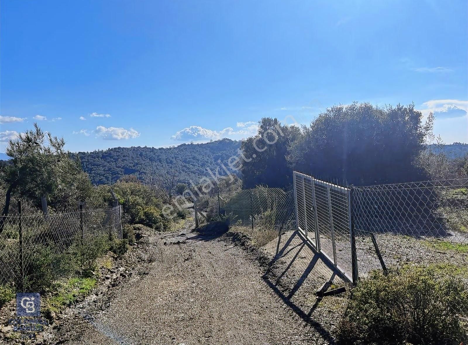 Seferihisar Gölcük Satılık 7 Dönüm Yatırımlık Fırsat Zeytinlik - Görsel 11