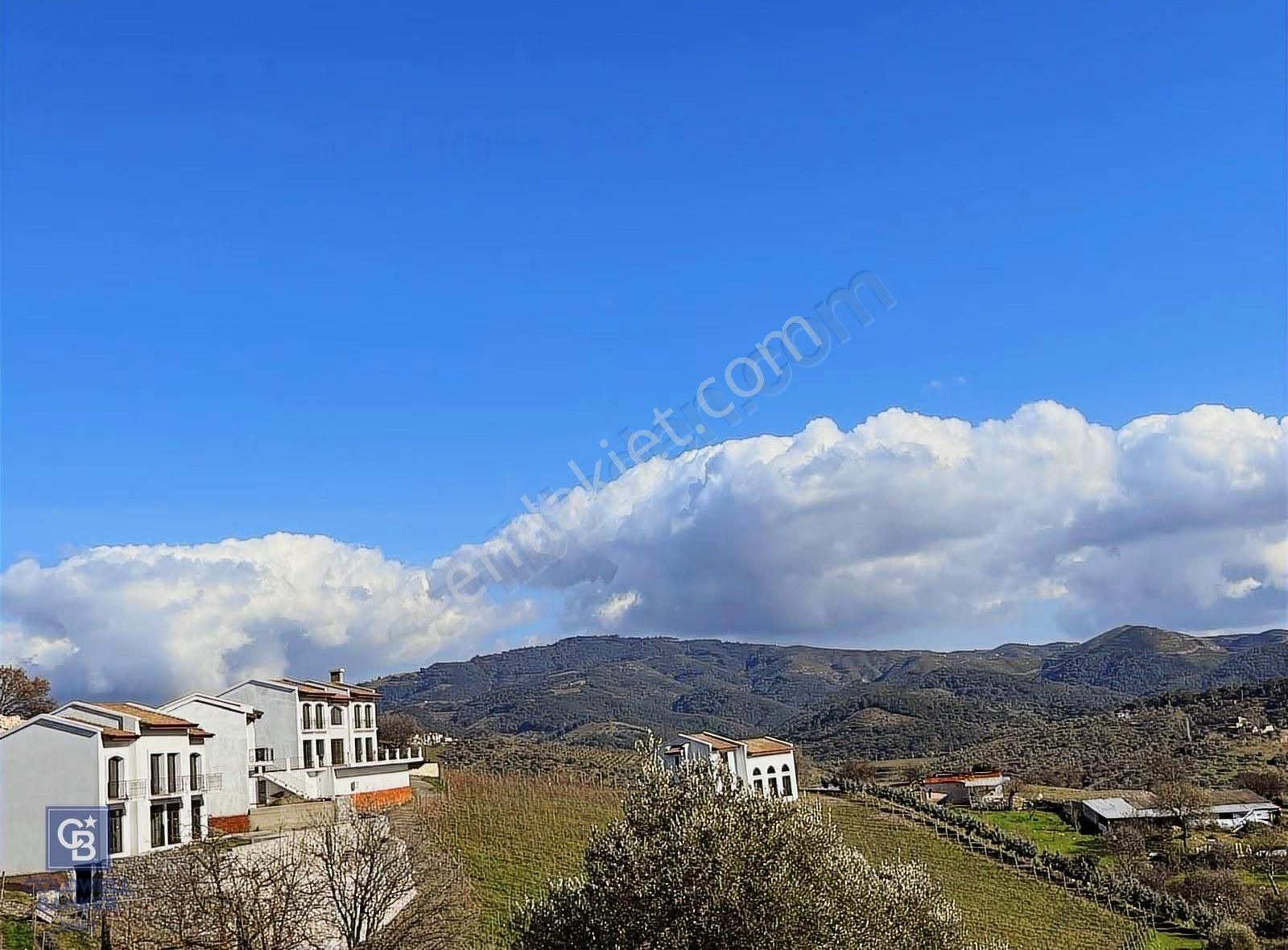 Seferihisar Gölcük Satılık 7 Dönüm Yatırımlık Fırsat Zeytinlik - Görsel 13