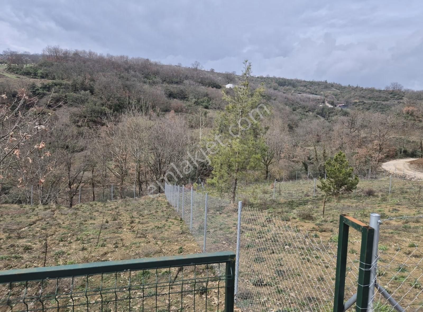 İpekyolu Yapı Emlak Hobi Bahçesi - Görsel 9