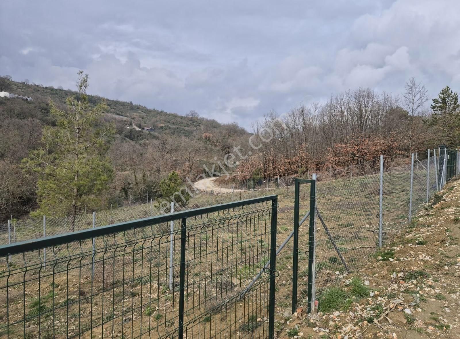 İpekyolu Yapı Emlak Hobi Bahçesi - Görsel 6