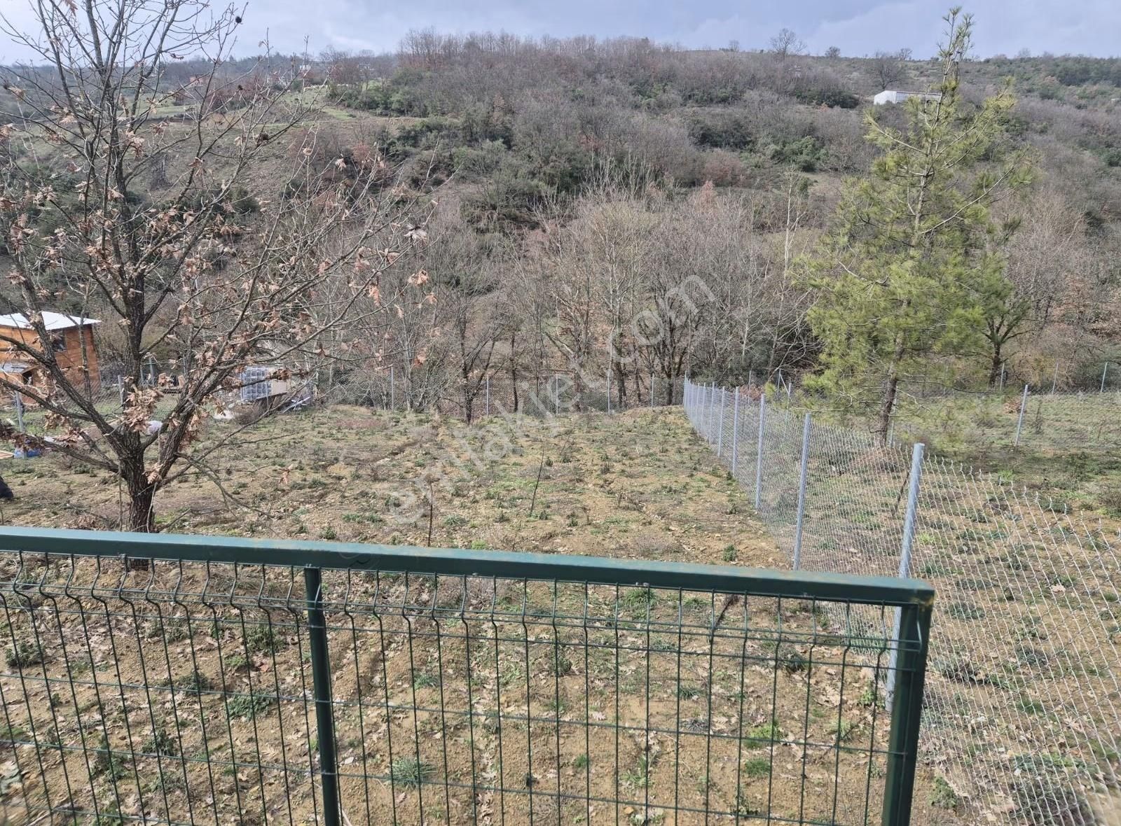 İpekyolu Yapı Emlak Hobi Bahçesi - Görsel 8