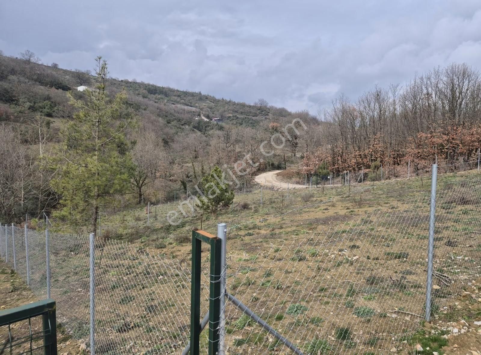 İpekyolu Yapı Emlak Hobi Bahçesi - Görsel 4