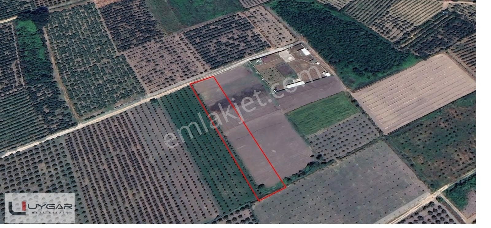 Bursa Gürsu Kazıklı Mahallesinde Satılık Hobi Bahçeleri - Görsel 7