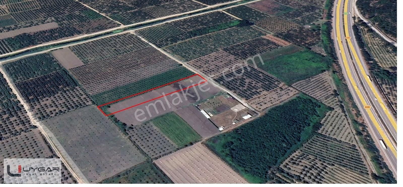 Bursa Gürsu Kazıklı Mahallesinde Satılık Hobi Bahçeleri - Görsel 6