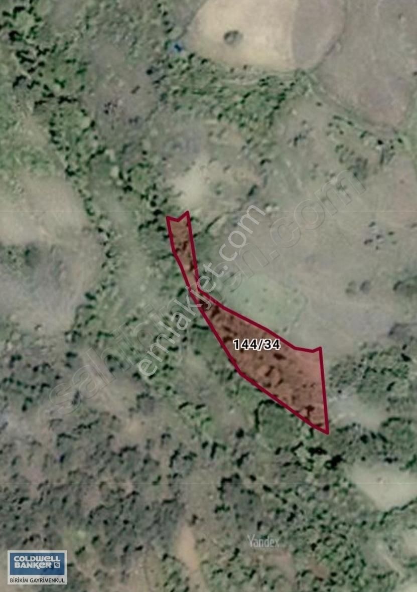 İzmir Bergama'da Kaynak Suyu Olan 1570 M2 Kelepir Ceviz Bahcesi - Görsel 5