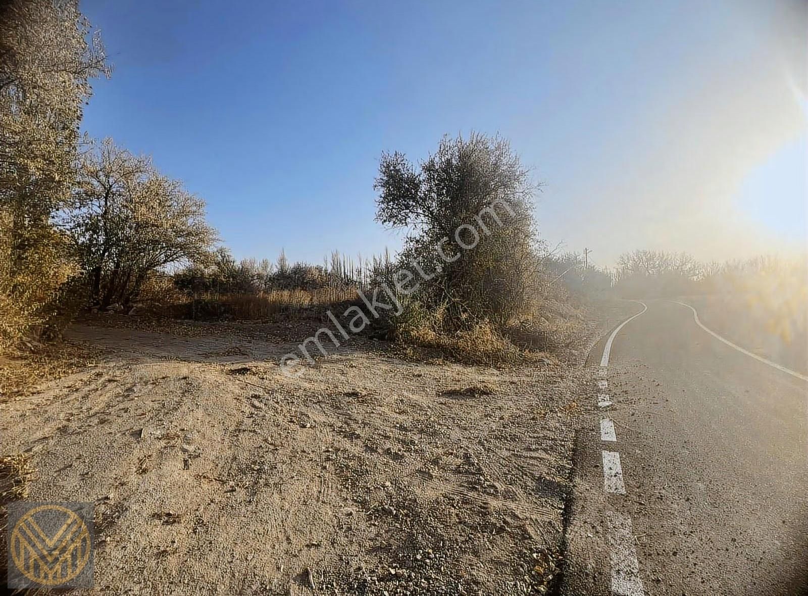 Subaşı'da Yatırımlık Fırsat Bağ