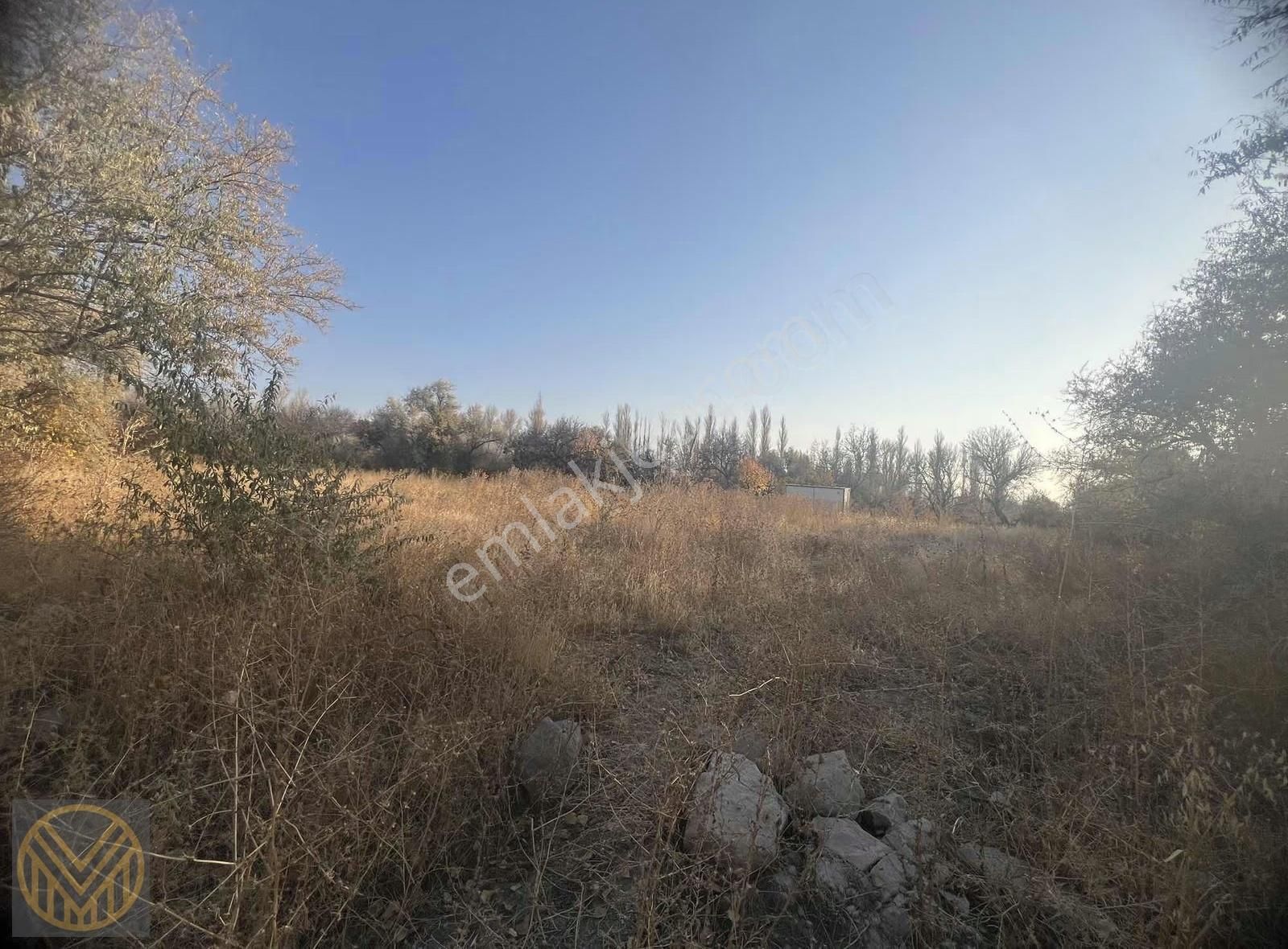 Subaşı'da Yatırımlık Fırsat Bağ - Görsel 2