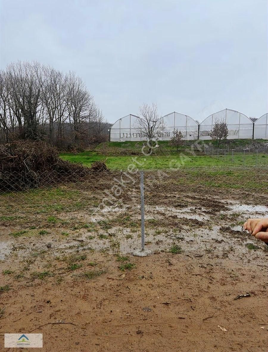 Gebze Ovacık'ta 1980 M² Satılık Tarla, Doğayla İç İçe - Görsel 3
