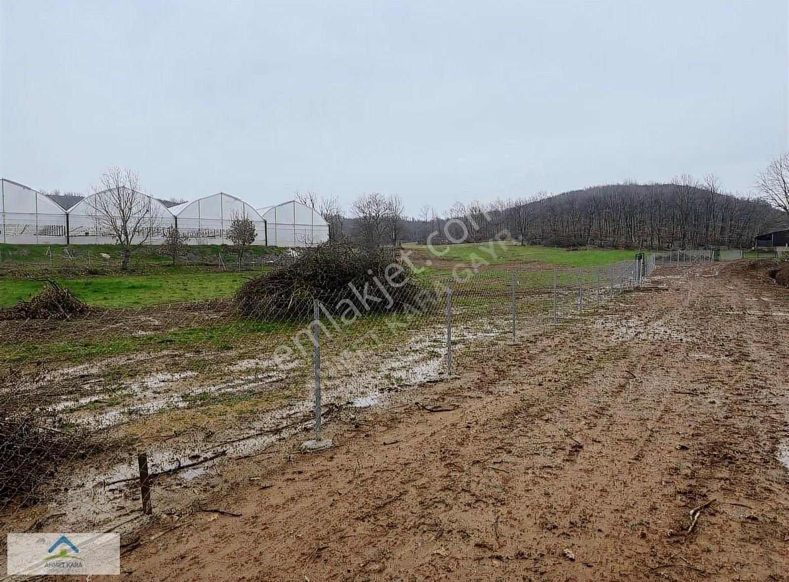 Gebze Ovacık'ta 1980 M² Satılık Tarla, Doğayla İç İçe - Görsel 15