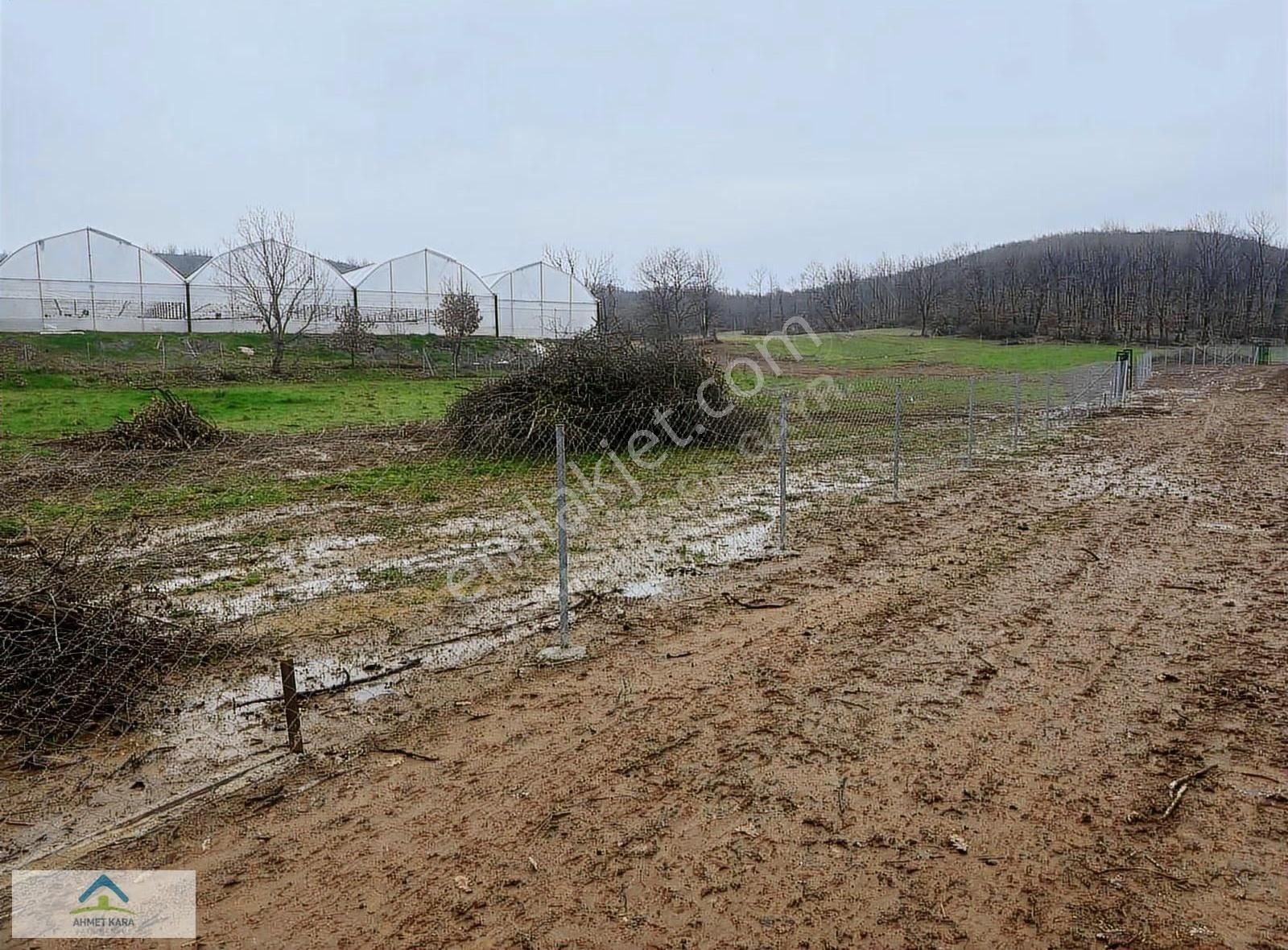 Gebze Ovacık'ta 1980 M² Satılık Tarla, Doğayla İç İçe