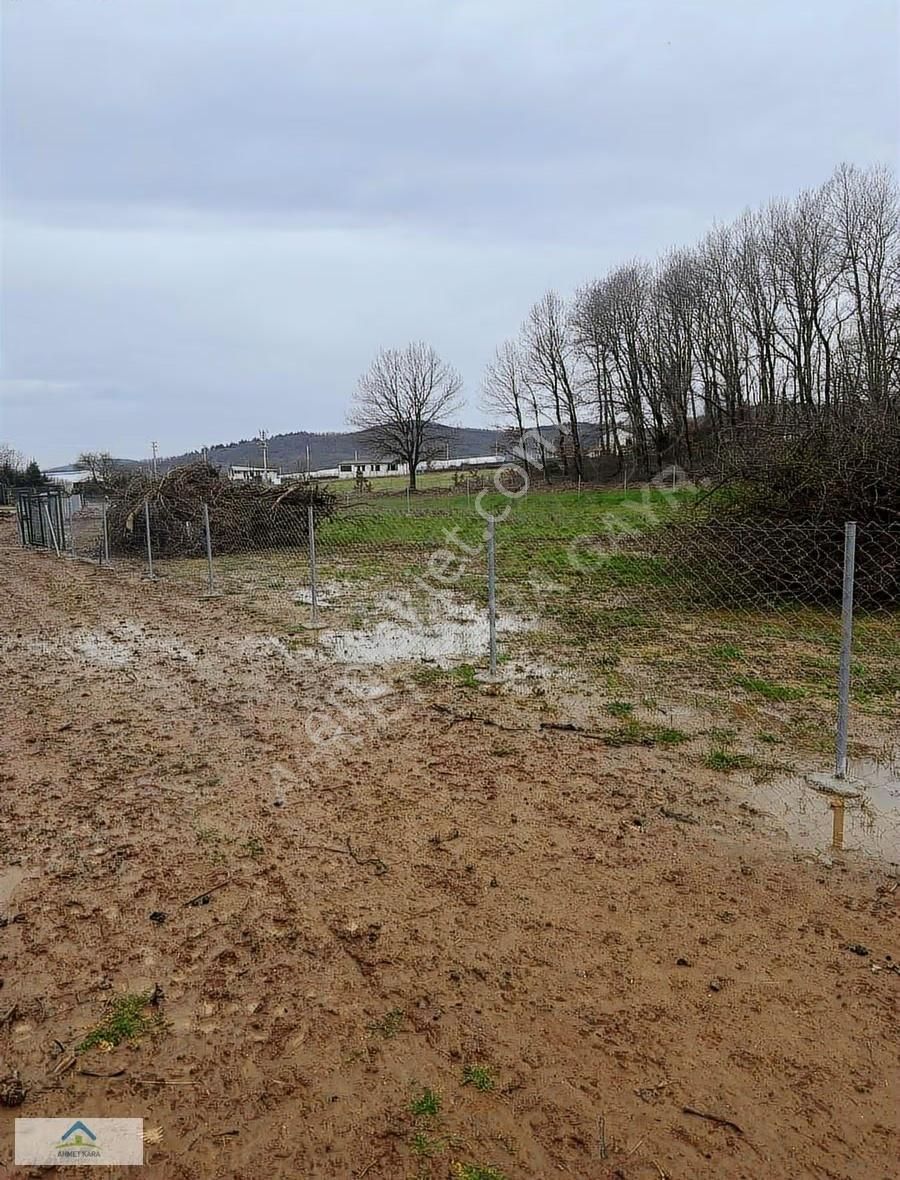 Gebze Ovacık'ta 1980 M² Satılık Tarla, Doğayla İç İçe - Görsel 12