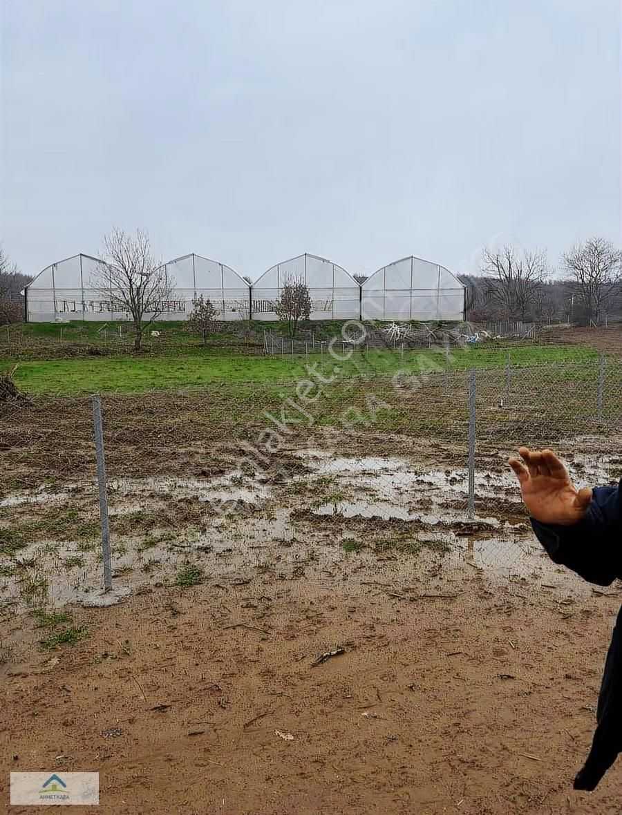 Gebze Ovacık'ta 1980 M² Satılık Tarla, Doğayla İç İçe - Görsel 4