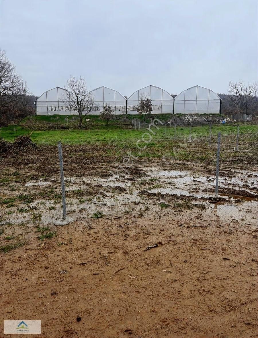 Gebze Ovacık'ta 1980 M² Satılık Tarla, Doğayla İç İçe - Görsel 11