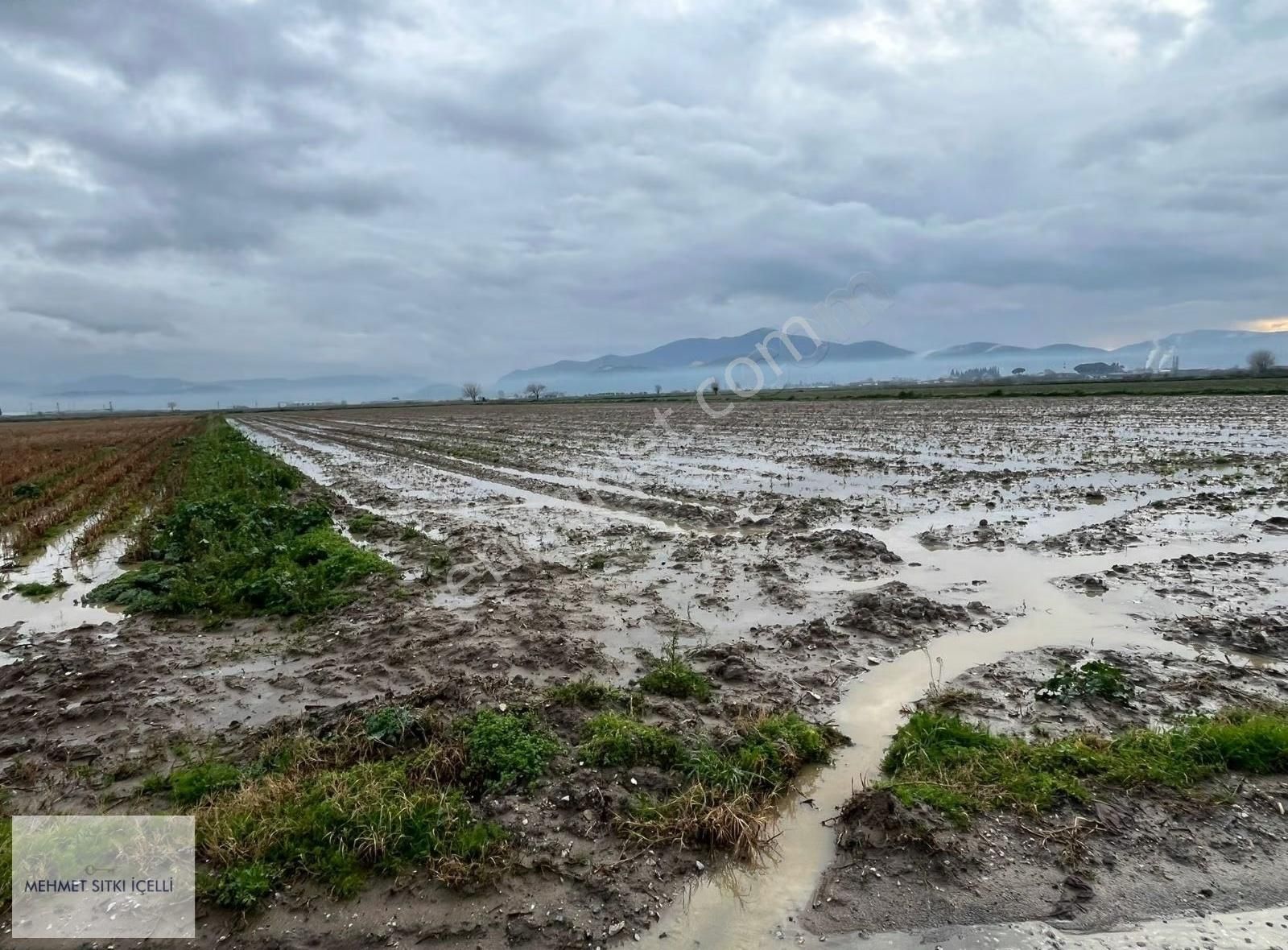 Atalan'da Kadastro Yolu Olan Tarım Arazisi!!! - Görsel 7