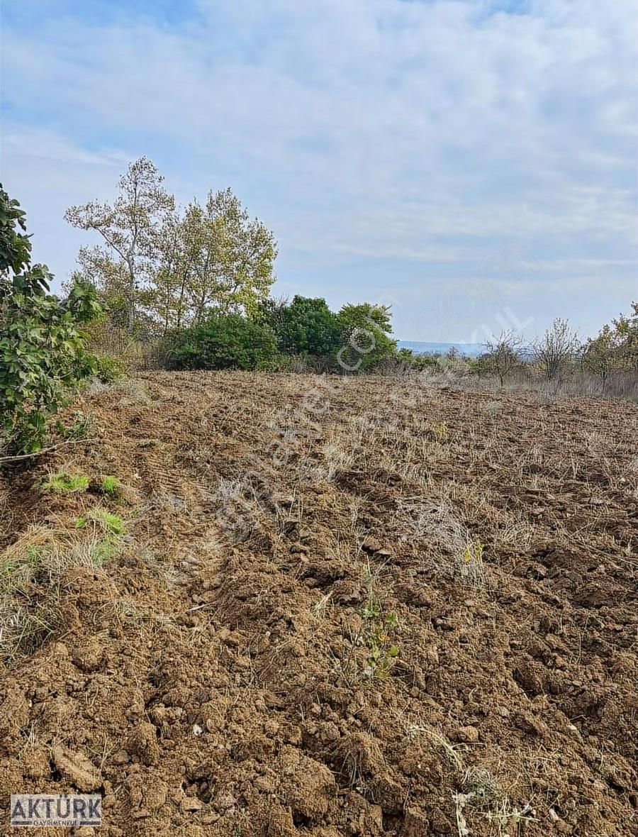 Aktürk Gayrimenkul'den Mudanyada Satılık Hobi Bahçesi