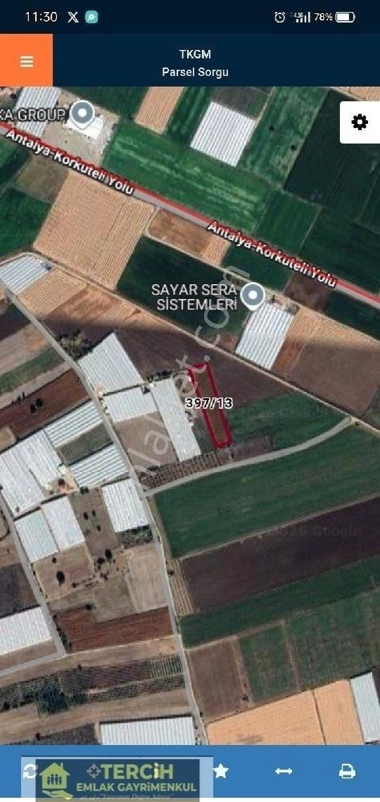 Tercih'ten Seralık Fırsat Düz Tarla - Görsel 4