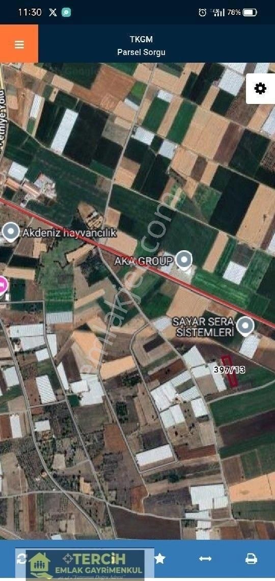 Tercih'ten Seralık Fırsat Düz Tarla - Görsel 3