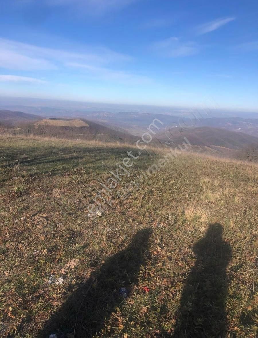 Şark Gayrimenkul Cahit'den Orhangazi Mahmudiye De Fırsat Tarla - Görsel 3