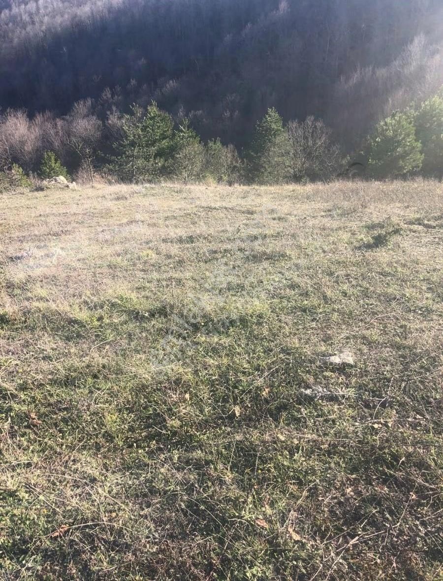 Şark Gayrimenkul Cahit'den Orhangazi Mahmudiye De Fırsat Tarla - Görsel 4