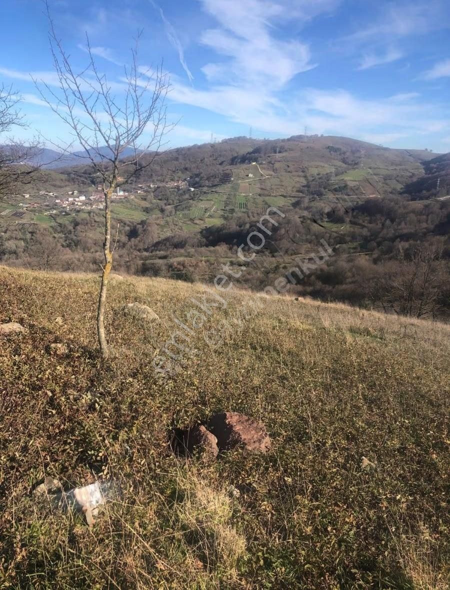 Şark Gayrimenkul Cahit'den Orhangazi Mahmudiye De Fırsat Tarla - Görsel 2