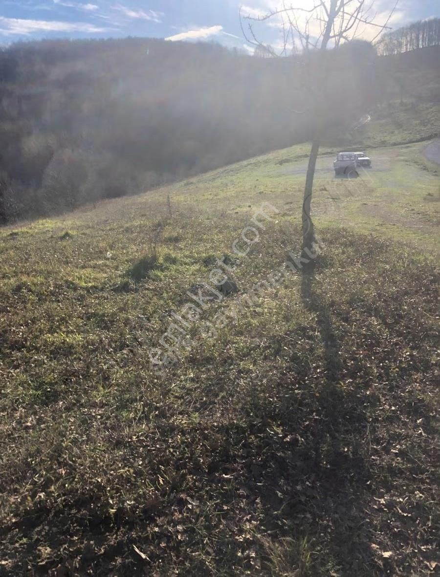 Şark Gayrimenkul Cahit'den Orhangazi Mahmudiye De Fırsat Tarla - Görsel 6